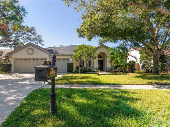 12424 Seabrook Dr, Tampa, FL 33626