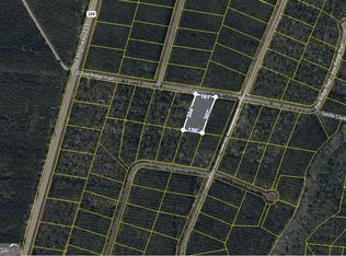 V/l 42 Fox Rdg, Waynesville, GA 31566