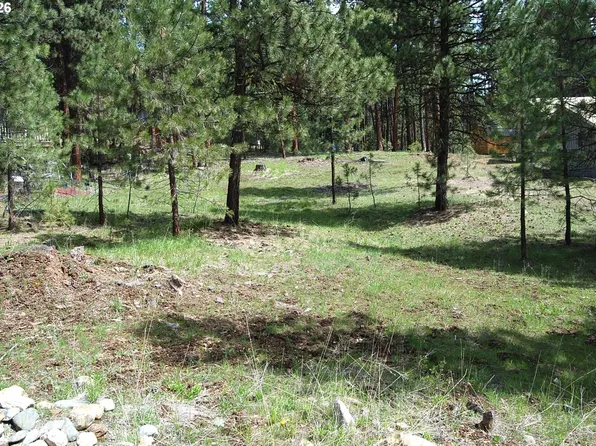 Ibex St, Sumpter, OR 97877