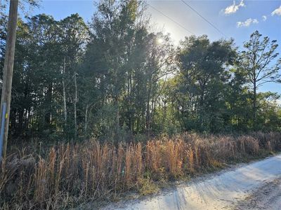 15100 SW 28th Ln #2, Ocala, FL, 34481