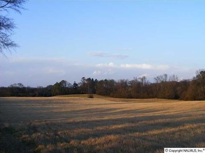 6019 County Highway 30, Blountsville, AL, 35031