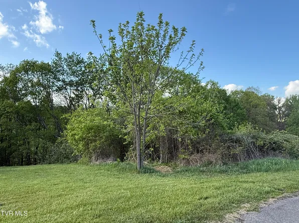 0 Gibson Rd, Nickelsville, VA 24271