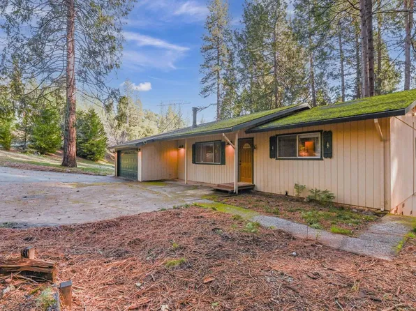 16422 McKenzie Dr, Pioneer, CA 95666