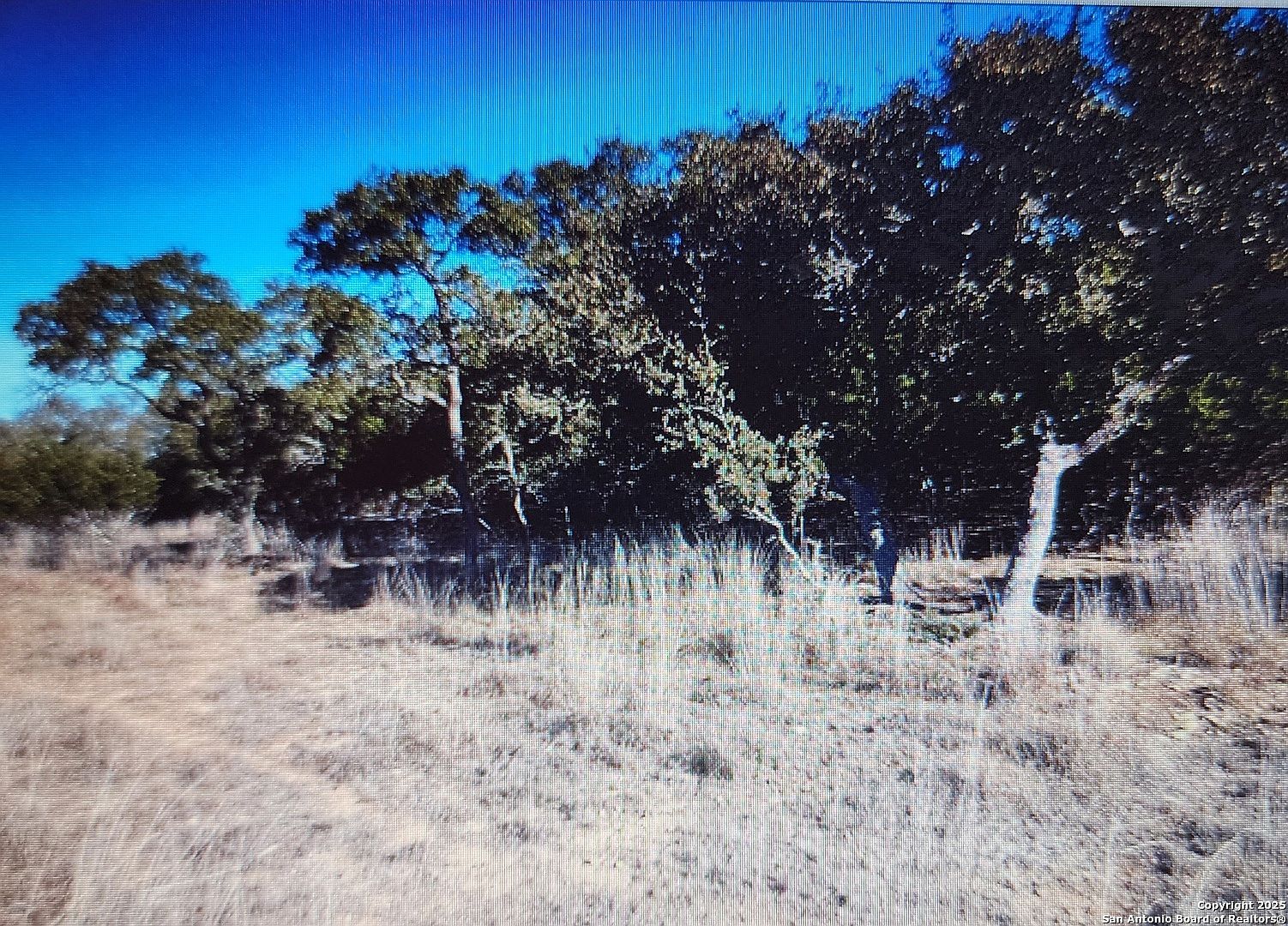 711 John Price LOT 972