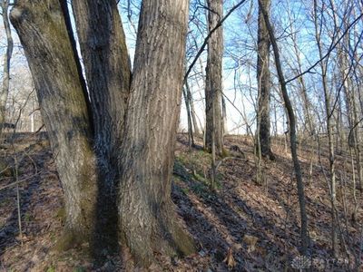 1459 State Route 73, Peebles, OH, 45660