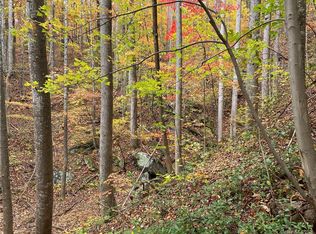 0 Grey Rock Pkwy #37/38, Lake Lure, NC 28746