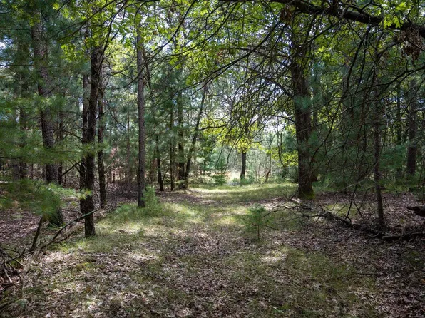 Lot 4 Meadow Drive #4, New Lisbon, WI 53950