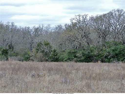 2nd image of 1150 Peach Creek Cut Off