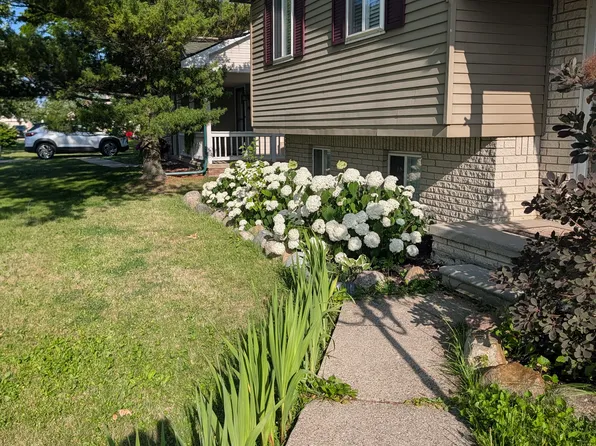 25884 Mary St, Chesterfield, MI 48051