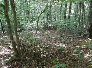 00 Gaps Chapel Rd, Sneedville, TN 37869