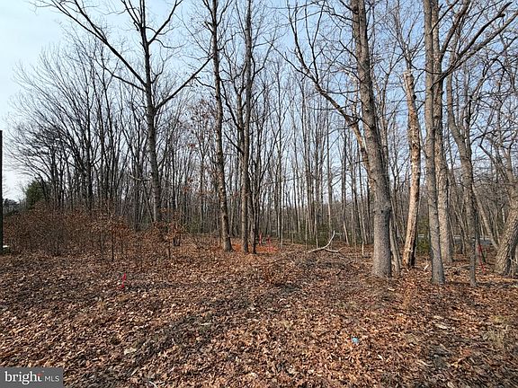 4th image of Marsh Rd