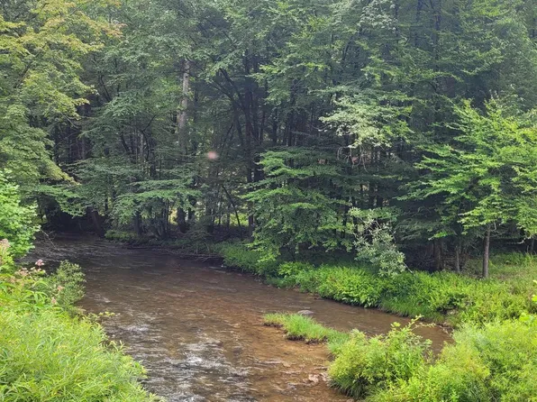 Morgan Rd, Helvetia, WV 26224