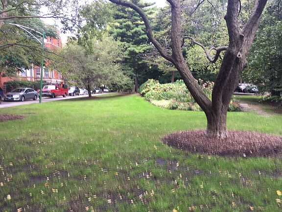 3rd image of 1357 E Madison Park #1