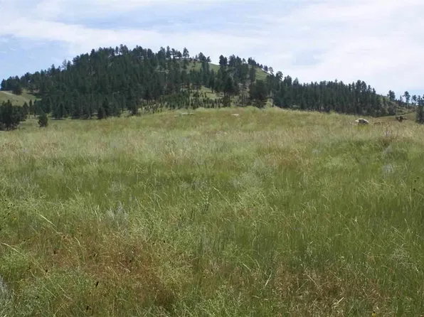 Tbd Ridgeview Springs Rd, Hot Springs, SD 57747