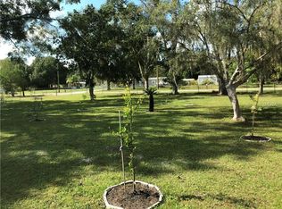 7238 Decision Rd, Land O Lakes, FL 34638