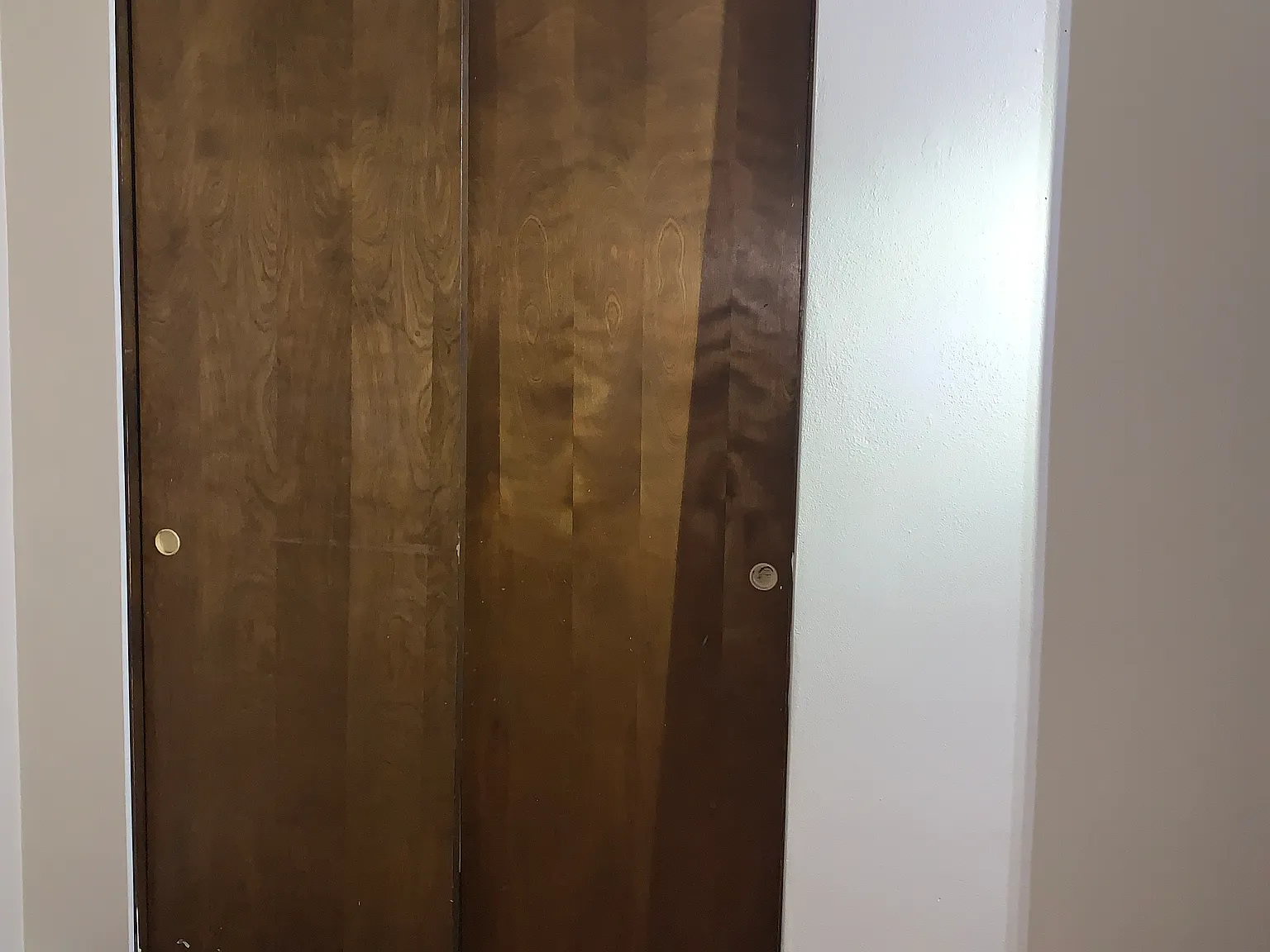 2 bed, 800 sqft, $1,295 — Photo 4