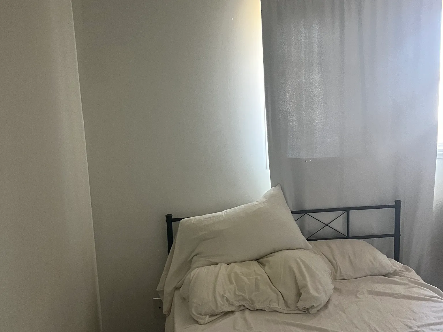 1 bed, $850 — Photo 3