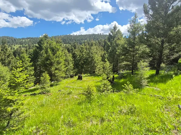 28 Muskrat Rd, Helmville, MT 59843