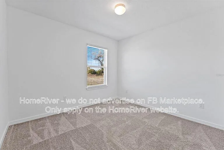 10826 Sapphire Breeze Cv — Photo 15