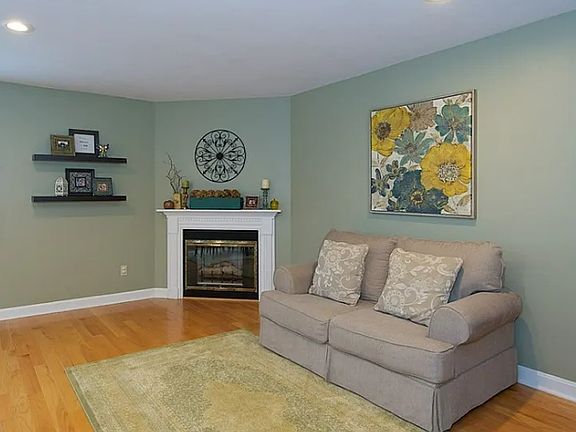 Den gas fireplace