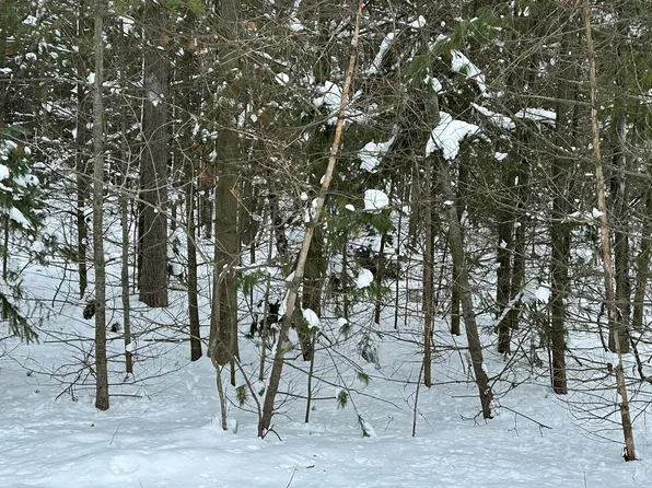 Emory Ln, Ossineke, MI 49766