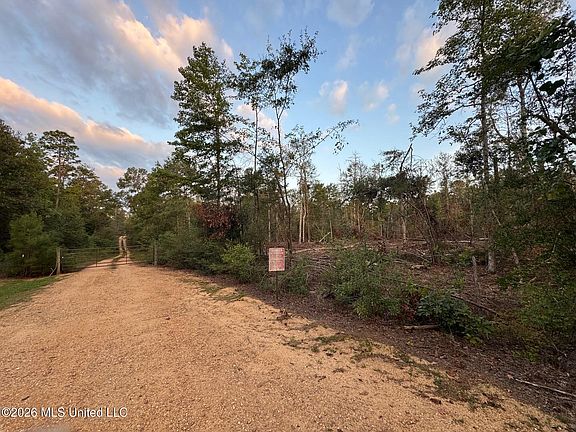5th image of Magnolia Pisgah Rd