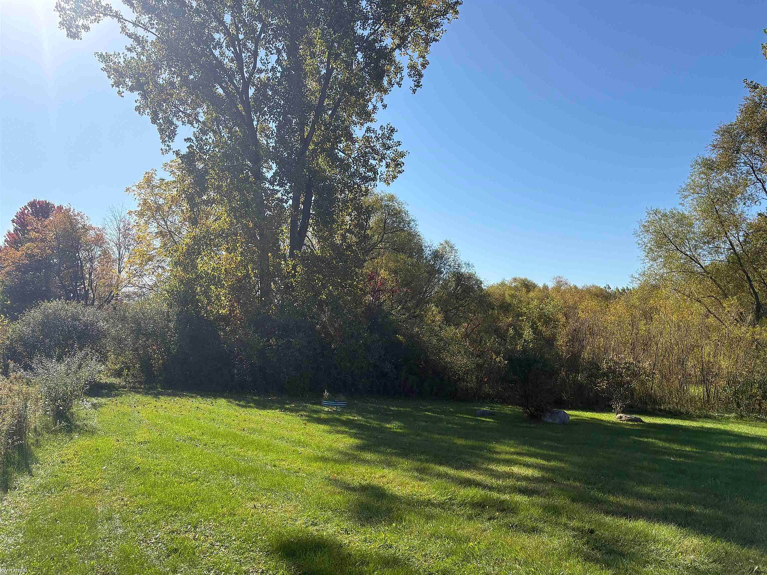 9700 Sharp Rd, photo 2