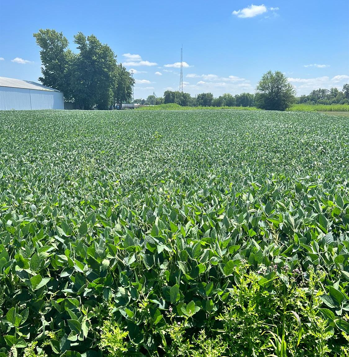 4 W Wood Rd, Rensselaer, IN 47978 MLS 534578 Zillow