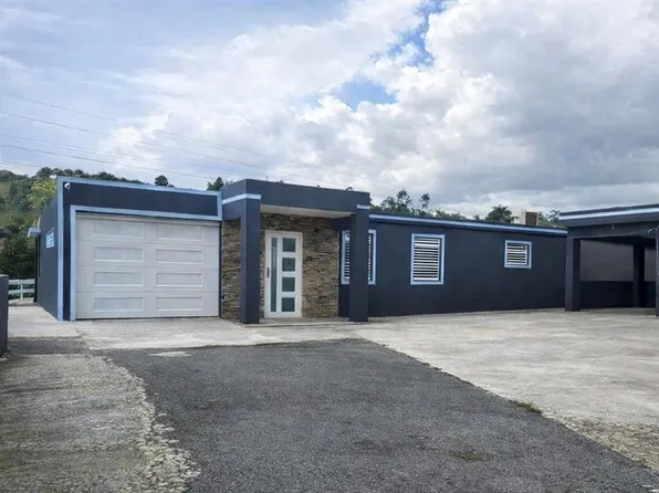 172 RIO ABAJO, CIDRA, PR 00739