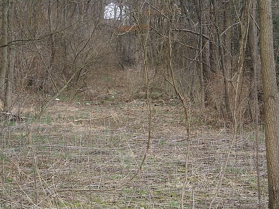 4th image of 142 N Duane Drive
