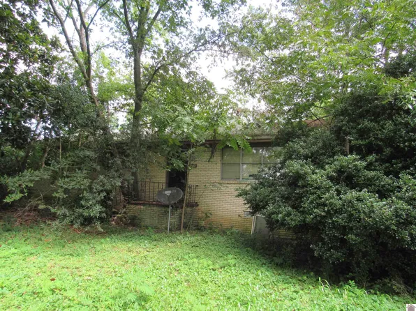 6400 Sate Rte #1283, Water Valley, KY 42085