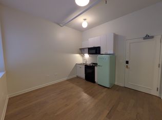 26 W Chestnut St #203, Chicago, IL 60610