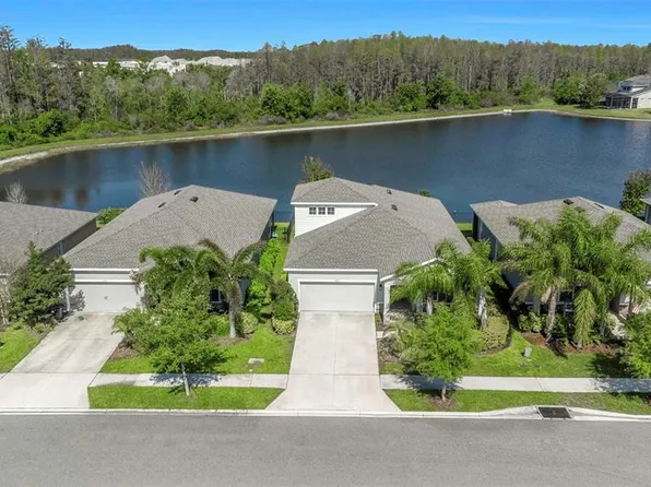 2427 Portico St, Odessa, FL 33556