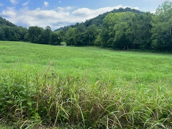 15 Long Hollow Acres, Burkesville, KY 42717