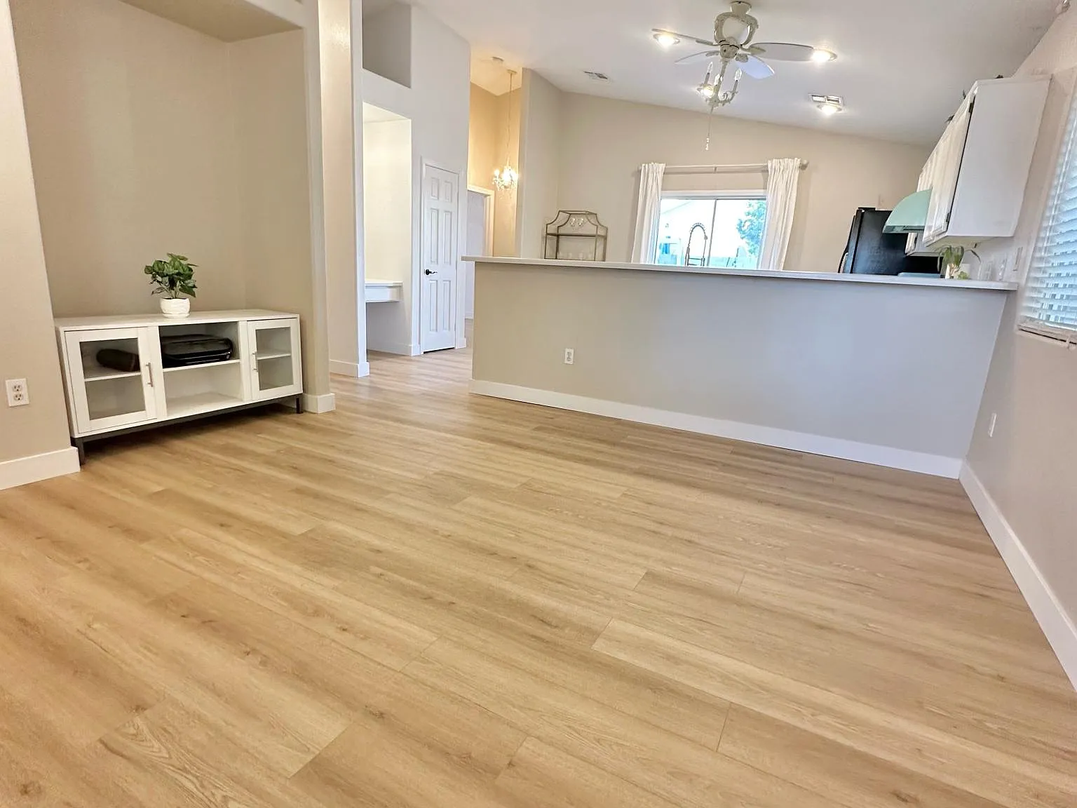2 bed, 990 sqft, $1,800 — Photo 4