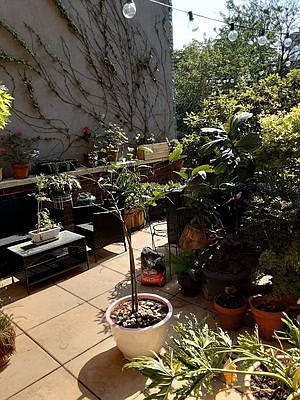 3rd image of 62 Clermont Ave APT 203