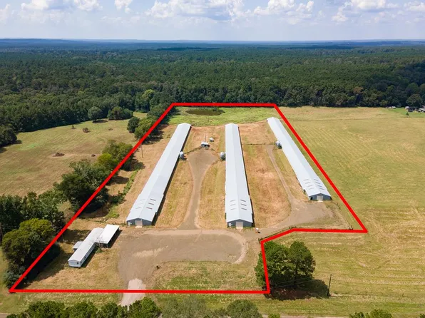 4442 Fm 1992, San Augustine, TX 75972