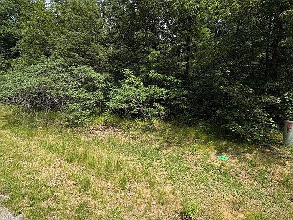 2nd image of 10411 Cynthia Ln