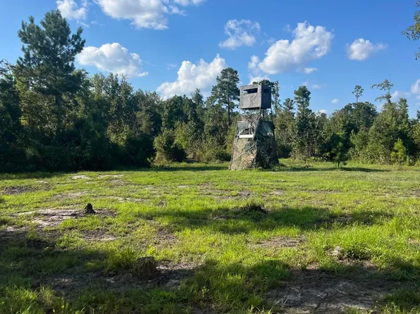 568 Fralix Rd, Smoaks, SC 29481