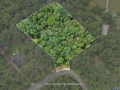 14 County Road 379, Trinity, AL, 35673