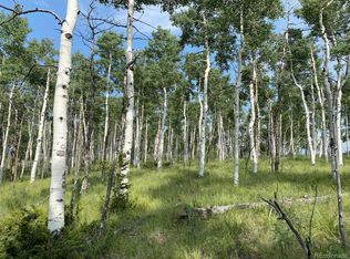 11151 Ranch Rd, Hartsel, CO 80449