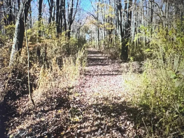 0 Petoskey St, Harsens Island, MI 48028