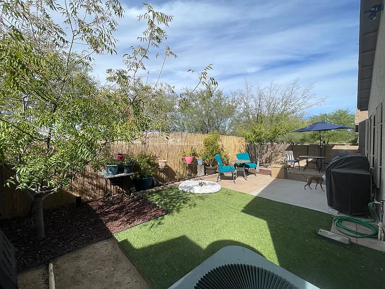 Backyard
