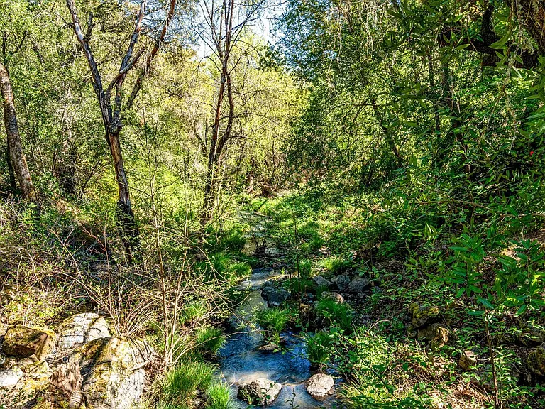 850 Conn Valley Rd — Photo 86