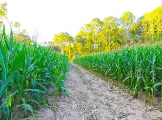 Bowman Rd, Medon, TN 38356