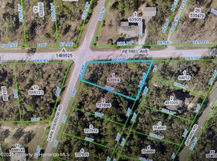 0 Petrel Ave, Brooksville, FL 34614