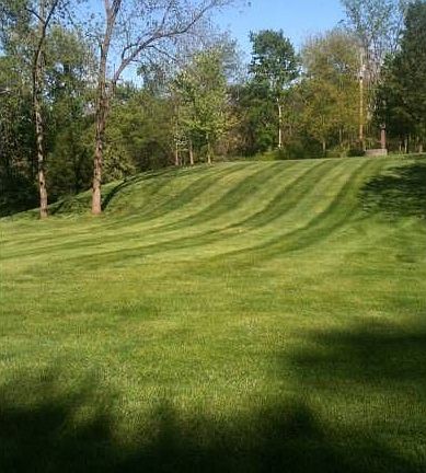Yard1