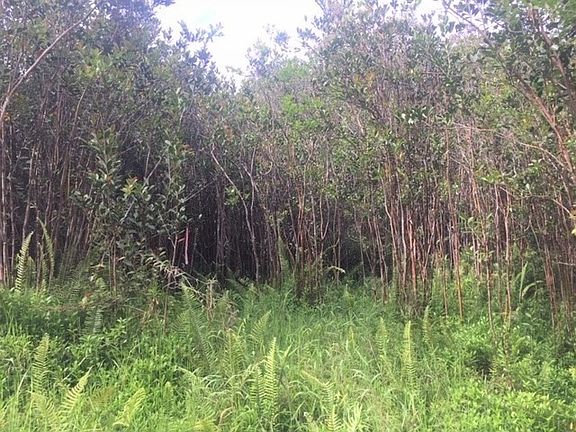 5th image of 16-1235 Pulelehua Rd #11-6051