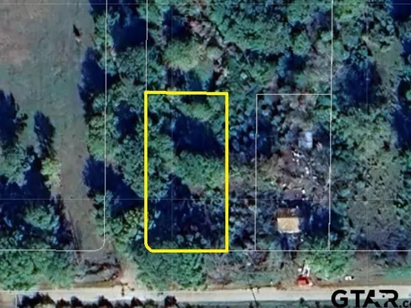 Bailey Ave, Troup, TX 75789