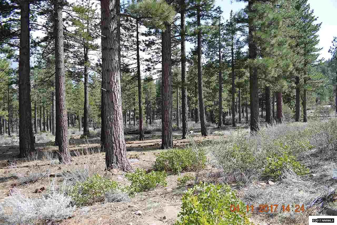 600 Yellow Pine Rd photo 1